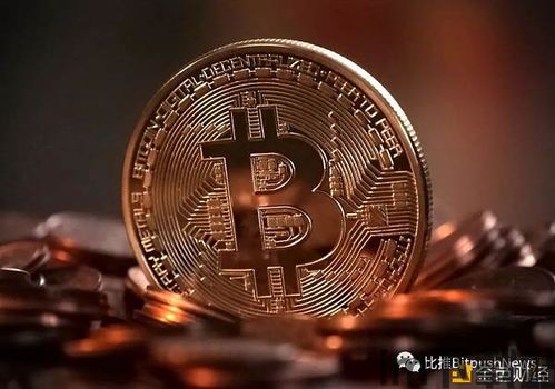 比特币 ledger,加密货币世界的基石(图1) 比特币 ledger,加密货币世界的基石(图1)