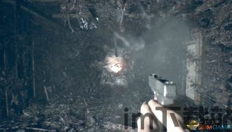 生化危机7辅助瞄准,轻松提升射击精准度(图5) 生化危机7辅助瞄准,轻松提升射击精准度(图5)