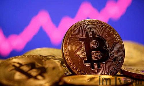 比特币是什么意思比特币,什么是比特币？(图2)