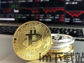 比特币区块和比特币,揭秘加密货币的核心机制(图9) 比特币区块和比特币,揭秘加密货币的核心机制(图9)