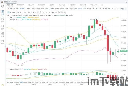 比特币9月3号价格表,比特币9月3号价格走势分析(图1)