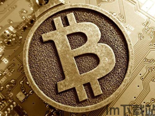 天币比特币,数字货币的崛起与未来展望(图2) 天币比特币,数字货币的崛起与未来展望(图2)