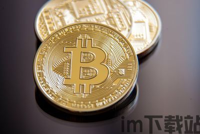 天币比特币,数字货币的崛起与未来展望(图3) 天币比特币,数字货币的崛起与未来展望(图3)