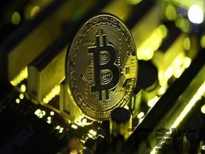 比特儿丢比特币,投资者权益如何保障?(图1) 比特儿丢比特币,投资者权益如何保障?(图1)