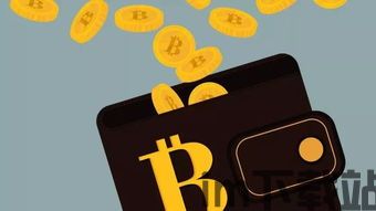 什么钱包收usdt安全,如何安全地存储USDT钱包(图4)