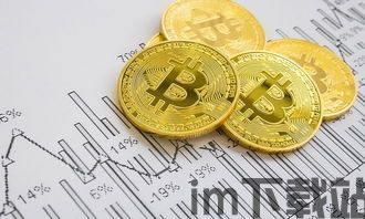 比特币老猫,币圈传奇人物的投资智慧与人生轨迹(图6) 比特币老猫,币圈传奇人物的投资智慧与人生轨迹(图6)
