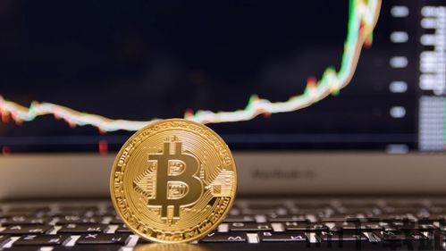 比特币总额,历史性突破与未来展望(图3)