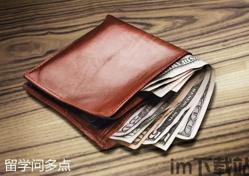 usdt国外钱包,安全便捷的数字货币存储选择(图13)