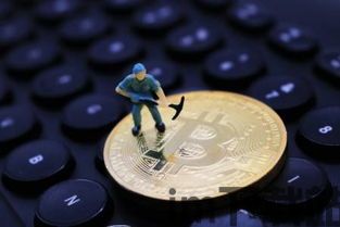 比特币挖矿群,揭秘行业现状与未来趋势(图1) 比特币挖矿群,揭秘行业现状与未来趋势(图1)