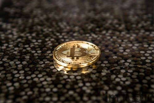 比特币风雨,从3美元到9万美元的传奇历程(图3) 比特币风雨,从3美元到9万美元的传奇历程(图3)