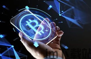 比特币币虎,数字货币市场的崛起与挑战(图4) 比特币币虎,数字货币市场的崛起与挑战(图4)
