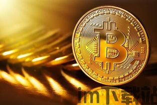 比特币对比特币的价格,历史与现状分析(图5) 比特币对比特币的价格,历史与现状分析(图5)