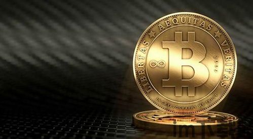 0.66比特币,揭秘加密货币市场的神秘力量(图5) 0.66比特币,揭秘加密货币市场的神秘力量(图5)