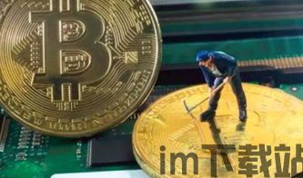 现在比特币比特币矿场,数字货币挖矿的枢纽(图1)