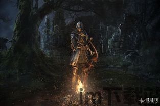 黑暗之魂 会重制吗,经典重制,是否即将归来?(图4) 黑暗之魂 会重制吗,经典重制,是否即将归来?(图4)