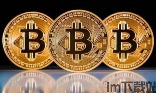 货币冷钱包USDT签名,深入解析货币冷钱包USDT签名技术(图13) 货币冷钱包USDT签名,深入解析货币冷钱包USDT签名技术(图13)