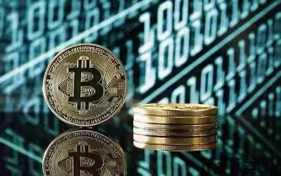 比特币靠什么挣钱,揭秘加密货币的盈利之道(图3)