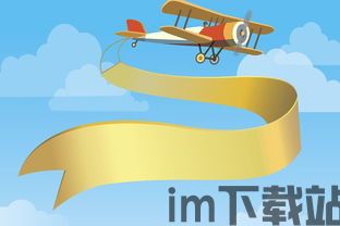 小飞机怎么变成中文,小飞机游戏如何调整成中文(图6) 小飞机怎么变成中文,小飞机游戏如何调整成中文(图6)
