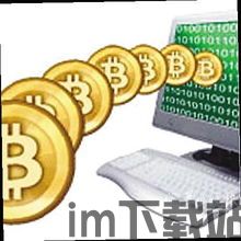 比特币海盗币,揭秘加密货币世界的另类存在(图2) 比特币海盗币,揭秘加密货币世界的另类存在(图2)