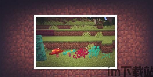 我的世界depth_strider,Depth Strider的传奇之旅(图3) 我的世界depth_strider,Depth Strider的传奇之旅(图3)