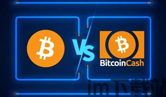 比特币 比特现金,数字货币的鼻祖(图4) 比特币 比特现金,数字货币的鼻祖(图4)