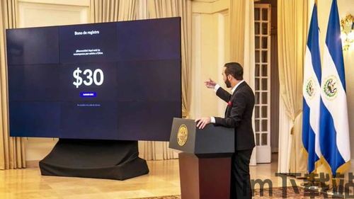 萨尔瓦多国民反对比特币(图3) 萨尔瓦多国民反对比特币(图3)