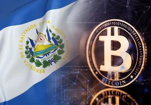 萨尔瓦多国民反对比特币(图9) 萨尔瓦多国民反对比特币(图9)