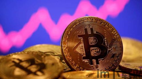一大堆比特币的图片大全,探索数字货币的视觉世界(图1) 一大堆比特币的图片大全,探索数字货币的视觉世界(图1)