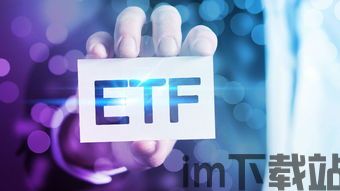 etf钱包转usdt,操作指南与注意事项(图1) etf钱包转usdt,操作指南与注意事项(图1)