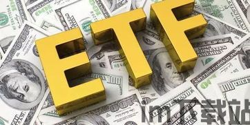 etf钱包转usdt,操作指南与注意事项(图6) etf钱包转usdt,操作指南与注意事项(图6)