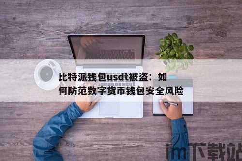 比特派usdt的钱包,比特派USDT钱包——安全、便捷的数字货币存储与交易选择(图1)