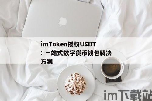 钱包支付usdt要授权,钱包支付USDT的授权流程详解(图3)