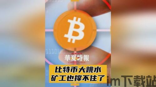 比特币大跳水,原因分析及市场影响(图1) 比特币大跳水,原因分析及市场影响(图1)