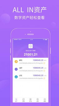 怎么查询usdt的钱包数量(图4)