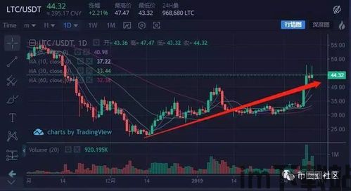 比特币的一生走势图片(图8) 比特币的一生走势图片(图8)