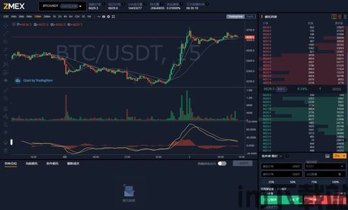 usdt资金账户是冷钱包吗,什么是USDT资金账户?(图3) usdt资金账户是冷钱包吗,什么是USDT资金账户?(图3)