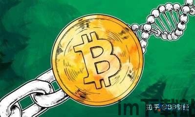 比特币与链比特,数字货币的演变与未来展望(图2) 比特币与链比特,数字货币的演变与未来展望(图2)