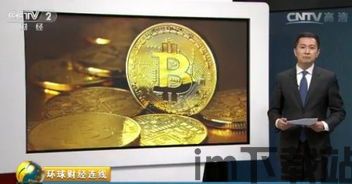央视比特币,加密资产的未来与风险(图4)