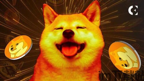 doge币比特币,数字货币市场的双雄(图1) doge币比特币,数字货币市场的双雄(图1)