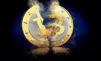 比特币钻石比特龙,数字货币界的璀璨新星(图6) 比特币钻石比特龙,数字货币界的璀璨新星(图6)