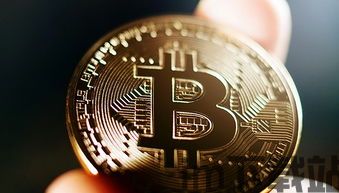 沈阳比特币,沈阳比特币市场的发展与现状(图2)