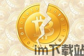 比特币 bitcash,数字货币的未来趋势(图3)