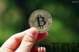 比特币在世界上的影响力,重塑全球金融格局的数字货币(图4)