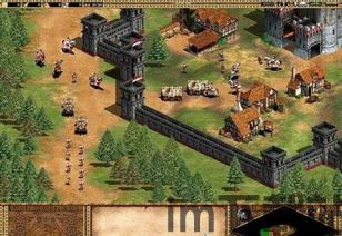 帝国时代2 高清版 更好(图4) 帝国时代2 高清版 更好(图4)