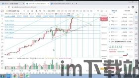 比特币5年来走势分析,市场波动与未来展望(图3)