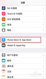 苹果纸飞机app怎么设置成中文,苹果纸飞机App设置成中文的详细步骤(图1)