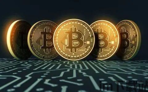 比特币 fil币,加密货币领域的双星闪耀(图1) 比特币 fil币,加密货币领域的双星闪耀(图1)