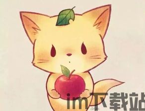小狐狸钱包安全吗可靠吗知乎文章,小狐狸钱包安全吗?可靠吗?深度解析(图13) 小狐狸钱包安全吗可靠吗知乎文章,小狐狸钱包安全吗?可靠吗?深度解析(图13)