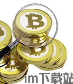 徐州比特币,机遇与挑战并存(图5)