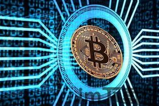 mmm比特币,揭秘其背后的投资热潮与风险(图6) mmm比特币,揭秘其背后的投资热潮与风险(图6)
